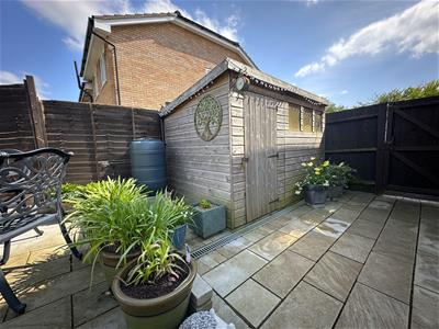 Picture 15